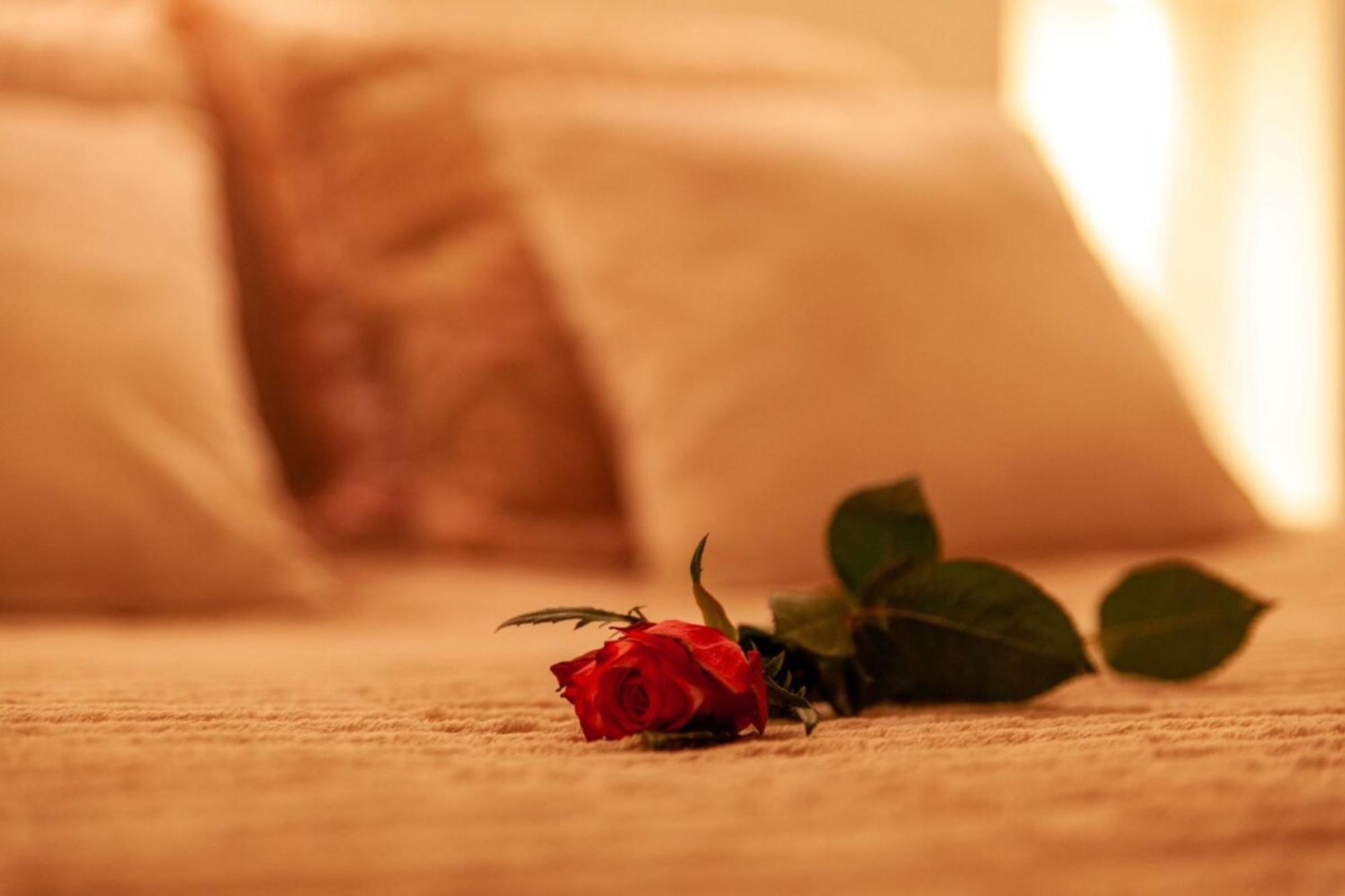 Love Room Perpignan Jacuzzi & Ambiance Romantique Villeneuve-de-la-Raho المظهر الخارجي الصورة